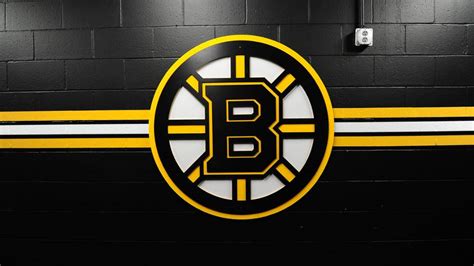 Download Sky Blue And White Boston Bruins Logo Wallpaper | Wallpapers.com