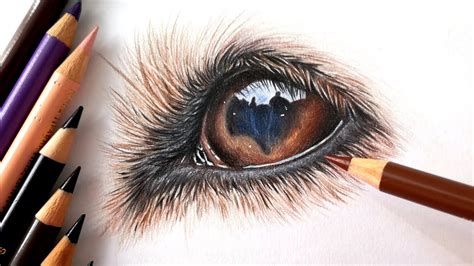 How to draw a dog eye with COLORED PENCIL - YouTube