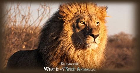 Lion Symbolism & Meaning | Spirit, Totem & Power Animal