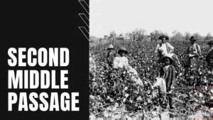 The Second Middle Passage: Slave Trade in America