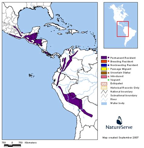 Americas Range Map - Emerald Toucanet | BirdPhotos.com