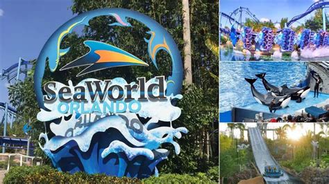 SeaWorld Orlando – Tips & Tricks to Help Your Day – Endless Summer Florida