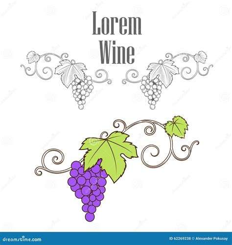 Grape Vine Branches Ornament Vector Stock Vector - Illustration of ...