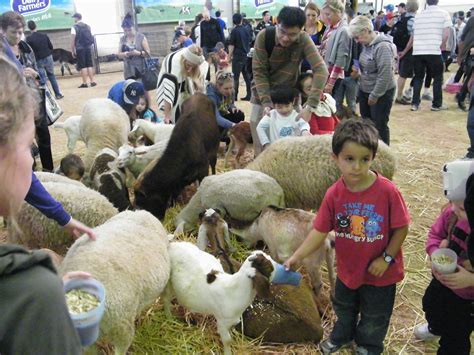 The Holiday and Travel Magazine: Animals Galore at the Royal Easter Show Sydney 2012