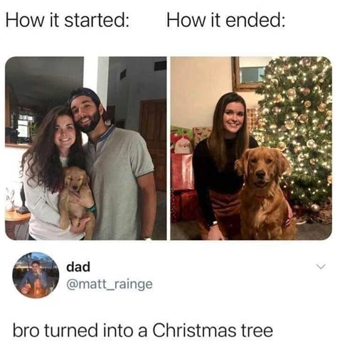 Christmas tree : r/Funnymemes