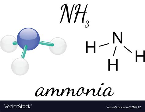 Draw The Lewis Structure Of Ammonia Nh3