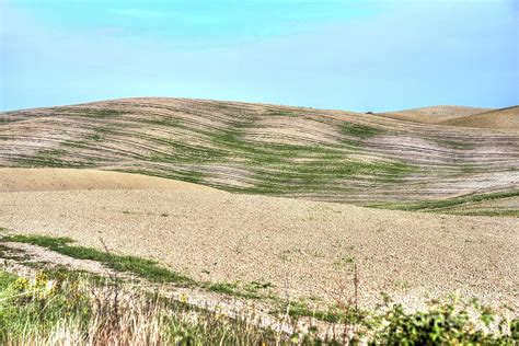 Tuscany Landscape - Italy Photograph by Paolo Signorini - Pixels