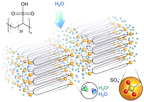 Engineers design new solid polymer electrolyte, paving way for safer ...