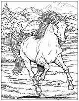 Dover Coloring Books Horses Pages sketch template