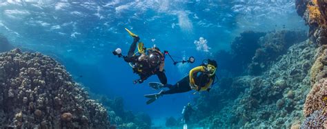 Scuba Diving - My Right way Tours