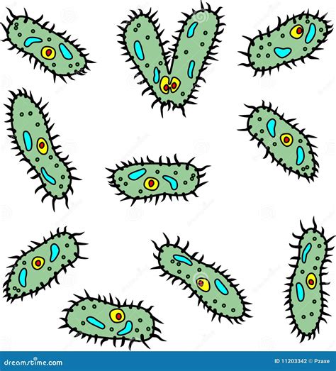 Vector Microbes - Infusorians on White Background Stock Vector - Illustration of microbe, dirt ...