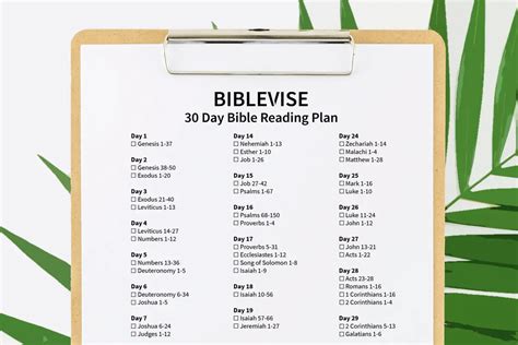 30 Day Bible Reading Plan (With Printable PDF)