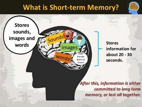 Short-term Memory Characteristics The 3