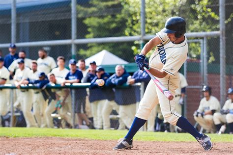 LOBOFEST: Pack The Stands! | Sonoma State University