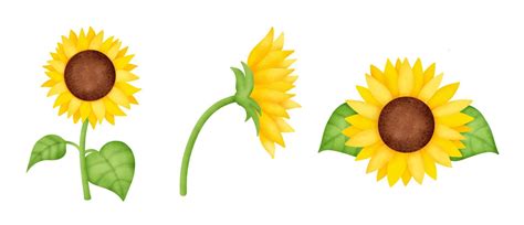 Sunflower Vector Art, Icons, and Graphics for Free Download