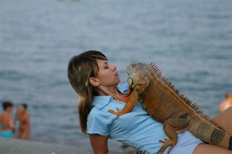 Funny Iguana - Pets Cute and Docile