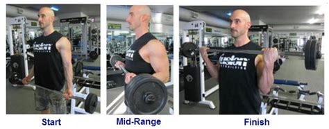 Barbell Curl Variations Made "EZ" | Member Login Area | Tom Venuto’s Burn the Fat Inner Circle ...