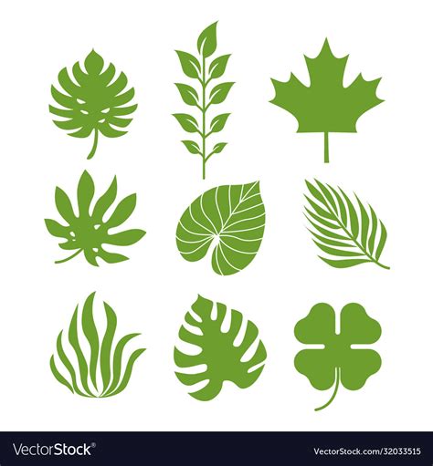 Silhouettes tropical leaves template Royalty Free Vector