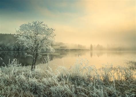 Trondheim in the Winter: Things To Do & How To Prepare - Life in Norway