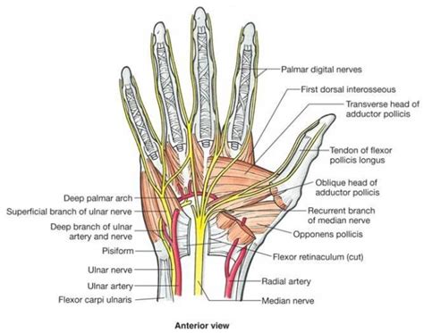 Construction Site Trip and Fall Accident Caused Significant Hand Injury | New York Injury Cases Blog