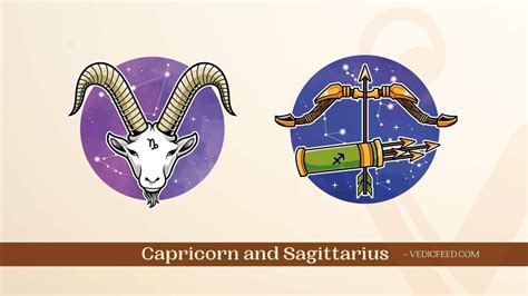 Sagittarius and Capricorn Compatibility In Love, Friendship & More