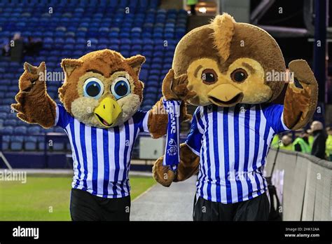 Sheffield wednesday mascot ozzie the owl hi-res stock photography and ...