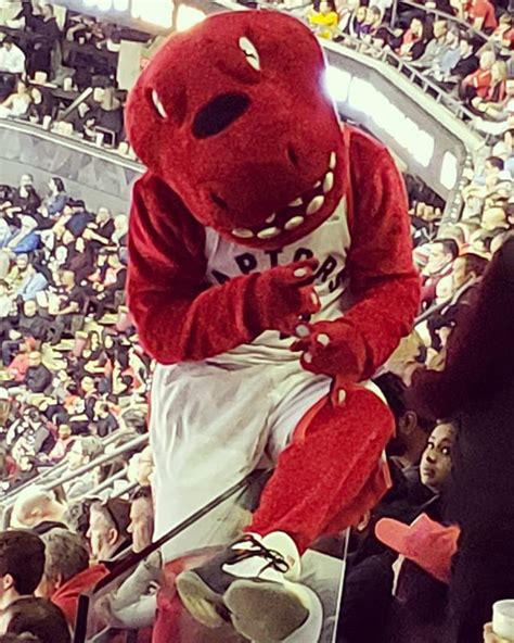 Toronto Raptors Mascot Bloopers | torontoraptorsarena