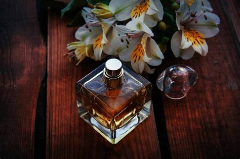 What Ingredients Are in Perfume? - La Riviere