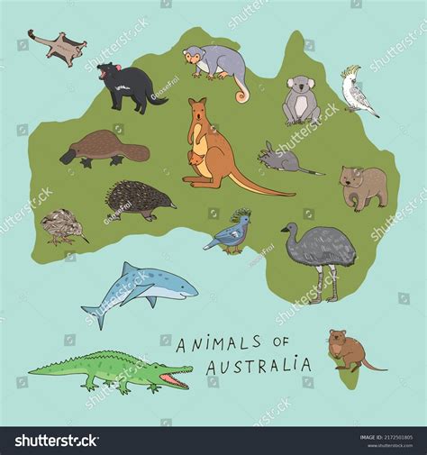 Australian Map Animals Illustrations Set Stock Illustration 2172501805 | Shutterstock