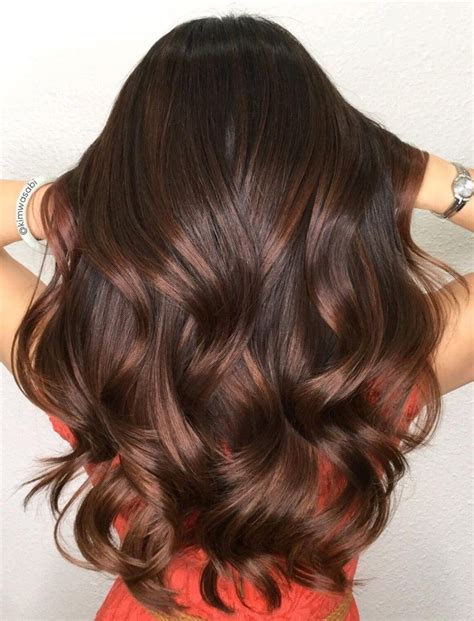 Pin by Stephanie Ortiz on hair color | Chestnut hair color, Chestnut hair, Brunette hair color