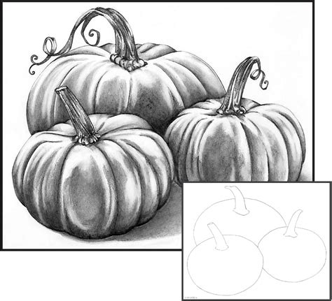 Graphite Pencil: Pumpkin Patch | Pumpkin drawing, Pumpkin sketch, Fall drawings