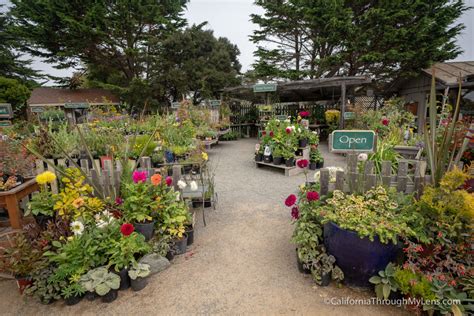 Botanical Gardens In Sacramento Ca | Fasci Garden