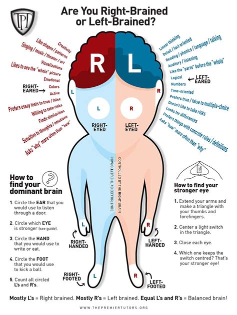 Right brain, Brain diagram, Brain facts