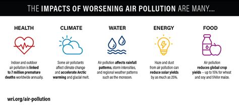 Effects Of Air Pollution