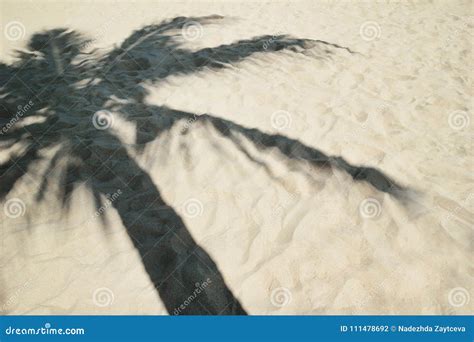 Shadow from Palm Tree on a Sandy Beach. Stock Photo - Image of sightseeing, shadow: 111478692