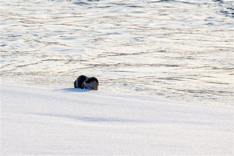 Joensuu - Finland | Winter day in Joensuu, Finland. 12.3.202… | Sami ...