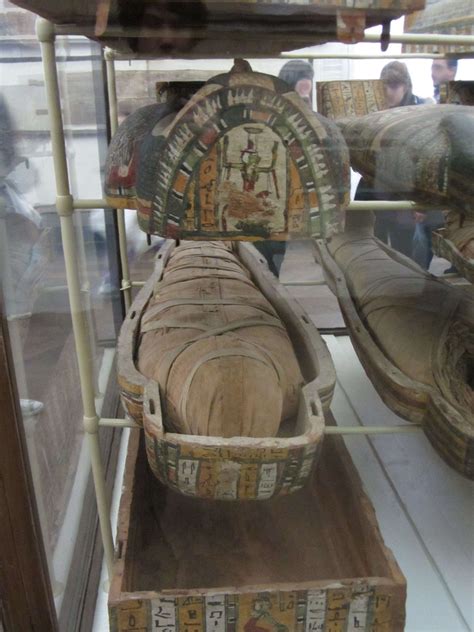 Egyptian Museum of Turin (Turin) - Visitor Information & Reviews