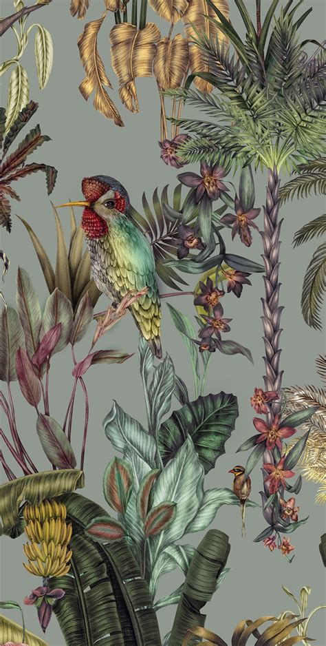 Tropical Bird Wallpaper Jungle Wall Mural Birds Birds | Etsy