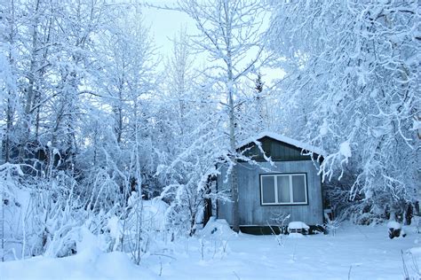 Banco de imagens : árvore, floresta, neve, frio, branco, casa, geada ...