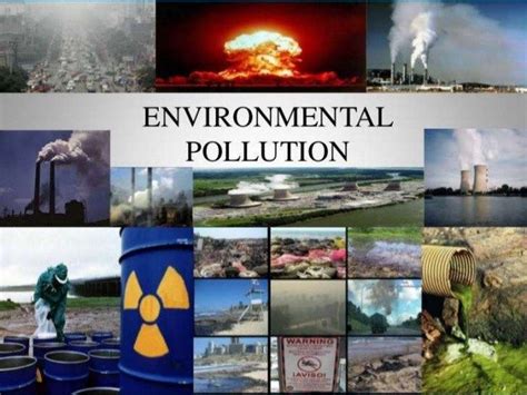 How Can We Help Control Environmental Pollution? - Blue and Green Tomorrow