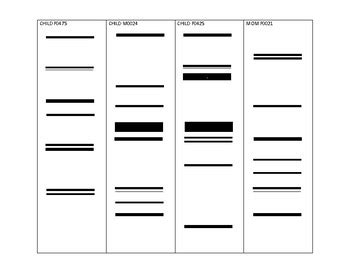 DNA Fingerprinting Lab activity by ActiveLearning | TpT