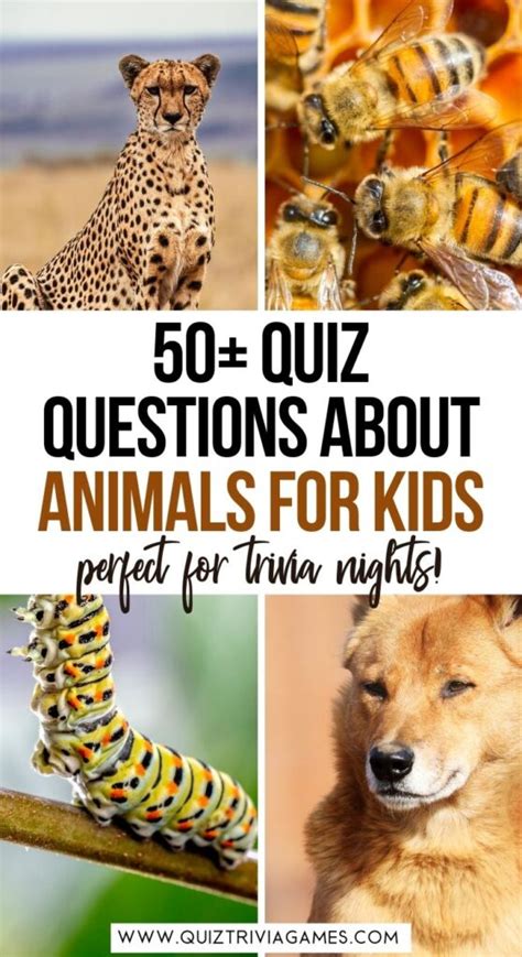 Top 181+ Animal facts quiz questions and answers - Merkantilaklubben.org