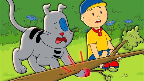 Caillou - Gilbert vai ao Veterinário | Caillou em Português - WildBrain - YouTube