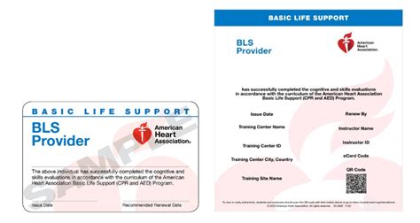 AHA HeartCode Online BLS Certification and Renewal - Heart Start CPR