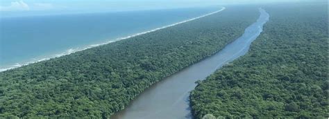 Tortuguero One Day Tour - Private Greenway Nature Tours