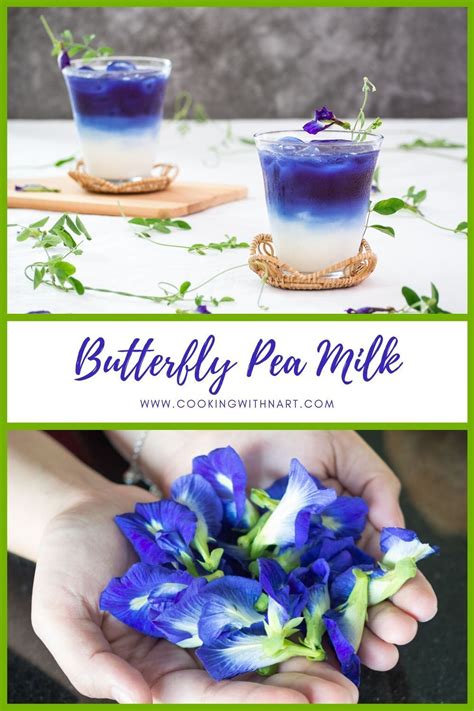 Butterfly Pea Milk - Easy Recipe | Cooking with Nart | Recipe | Butterfly pea, Asian drink ...