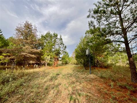 15 Acres Pavo, GA | Brooks County | Pavo, GA