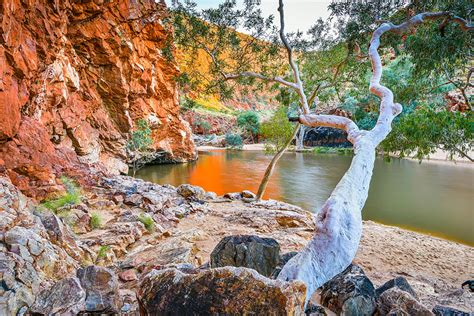 Ormiston Gorge (68070), photo, photograph, image | R a Stanley Landscape Photography Prints