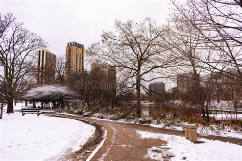 Winter Scene in Lincoln Park Chicago Near North Pond with Snow Stock Image - Image of bare, pond ...