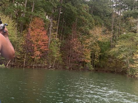 Fall colors on the lake! : r/Augusta